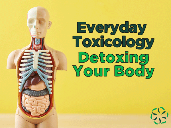 How to Naturally Detox Your Body Without Expensive Products